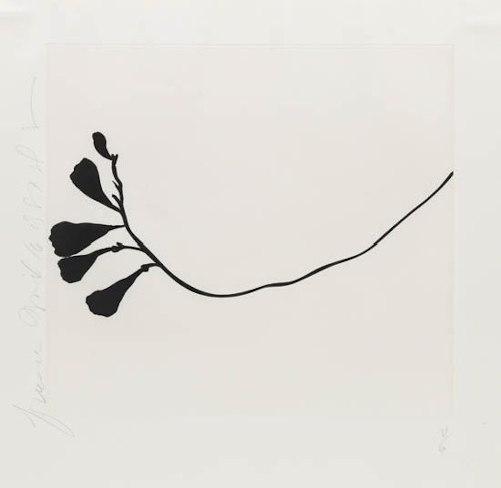 Freesia, April 16, 1987 by Donald Sultan