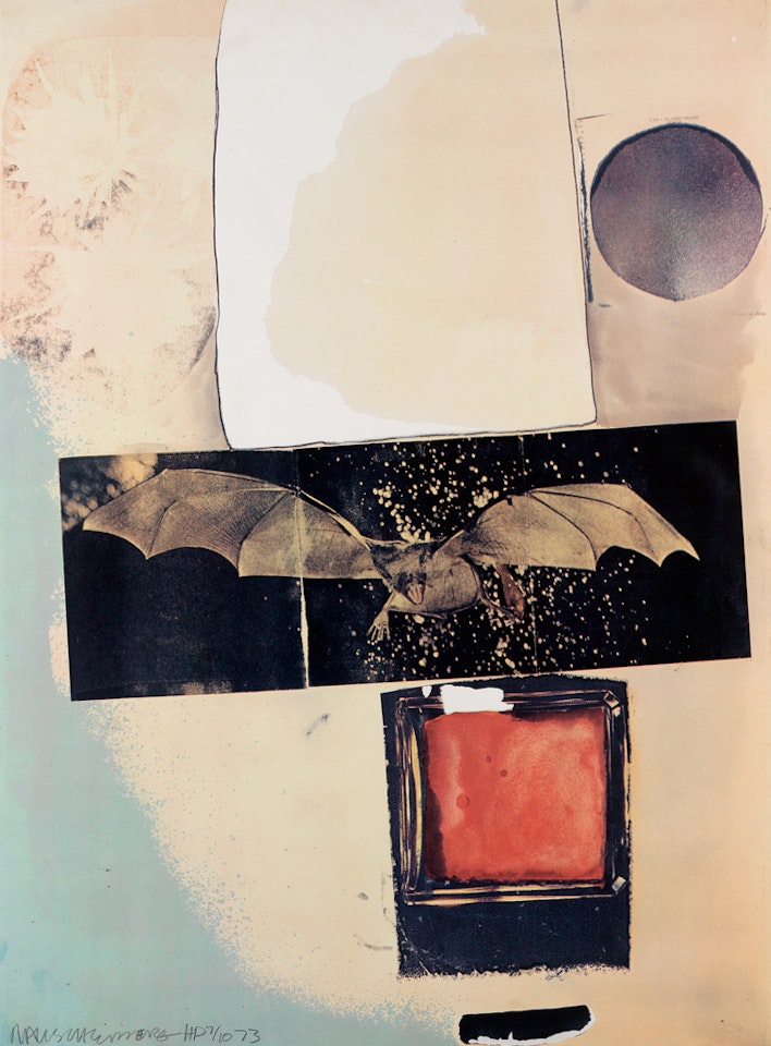 Rays by Robert Rauschenberg