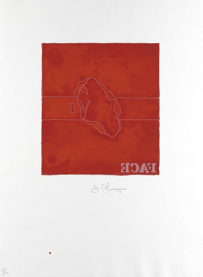 Face by Jasper Johns