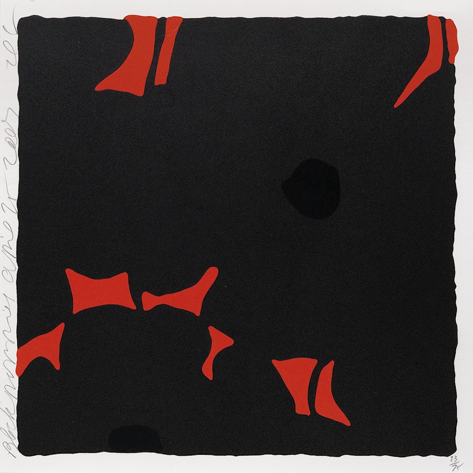 Black Poppies by Donald Sultan