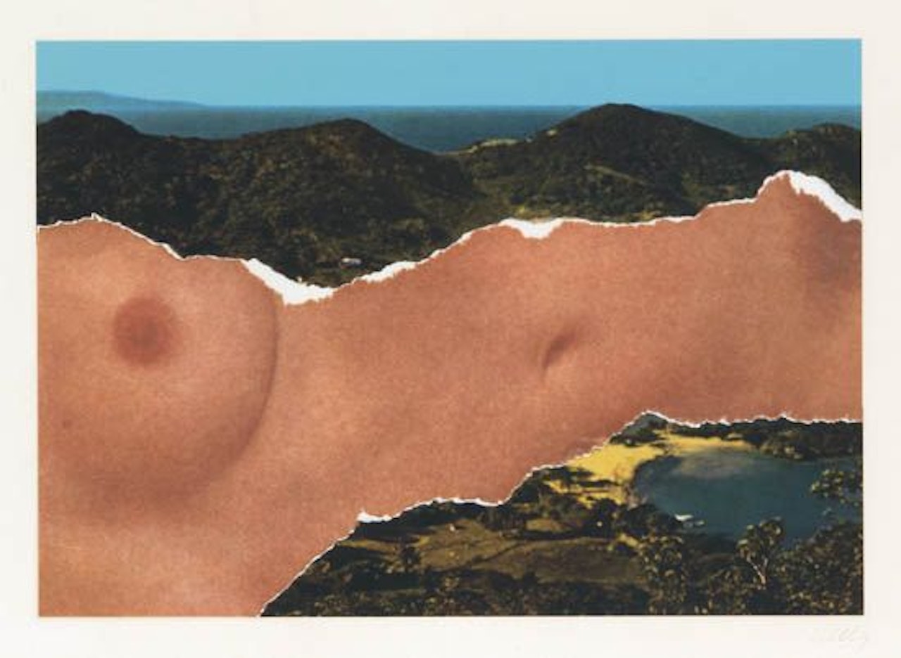 Saint Martin Landscape by Ellsworth Kelly