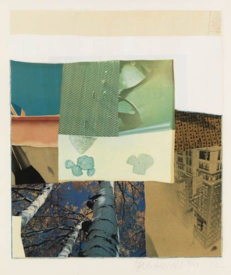Horsefeathers Thirteen II by Robert Rauschenberg