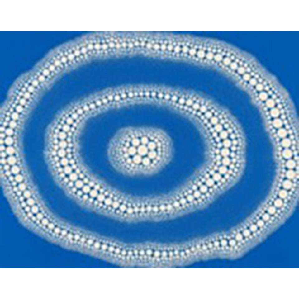 Heart (2) (Kusama 255) by Yayoi Kusama