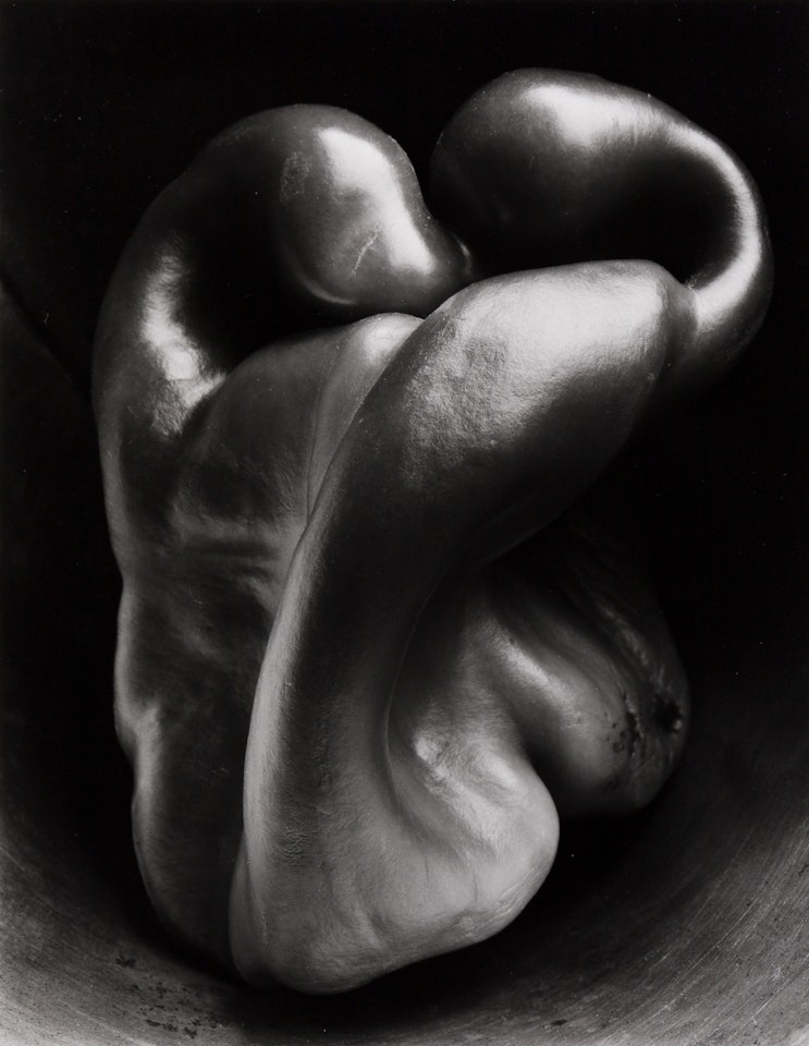 Pepper #30 by Edward Weston
