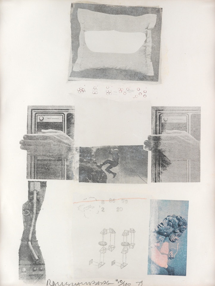 Two Reasons Birds Sing by Robert Rauschenberg