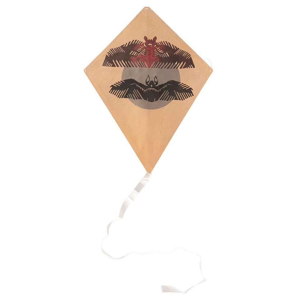 Bats, kite by Francisco Toledo