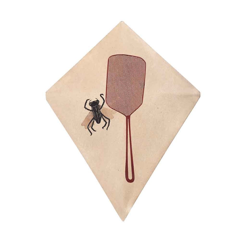 Fly, kite by Francisco Toledo