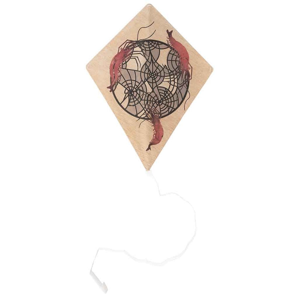 Shrimp, kite by Francisco Toledo