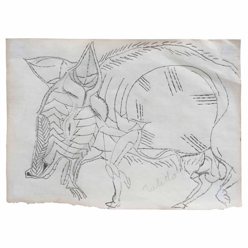 Pig by Francisco Toledo