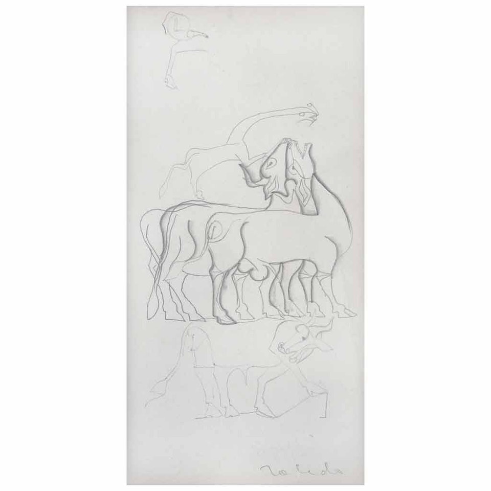 Bulls by Francisco Toledo