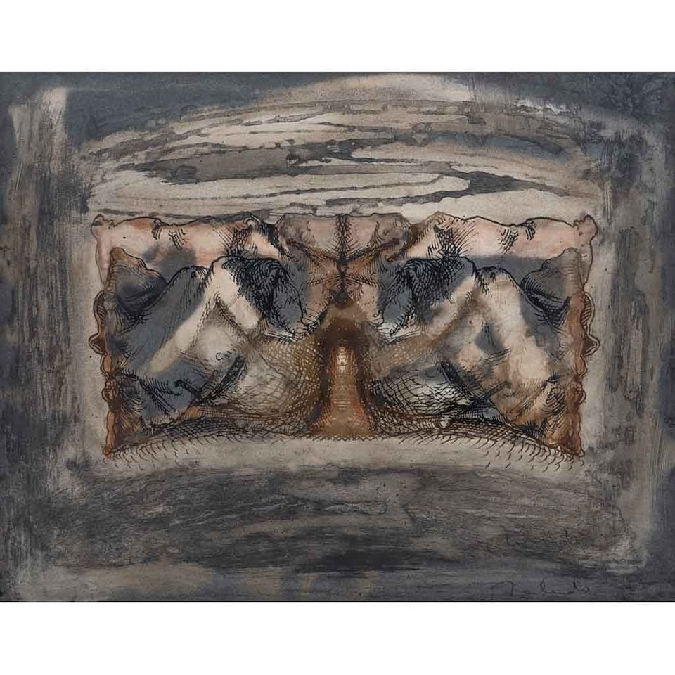 Dürer Pillow No. LXXVII by Francisco Toledo