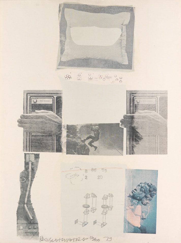 Two Reasons Birds Sing by Robert Rauschenberg