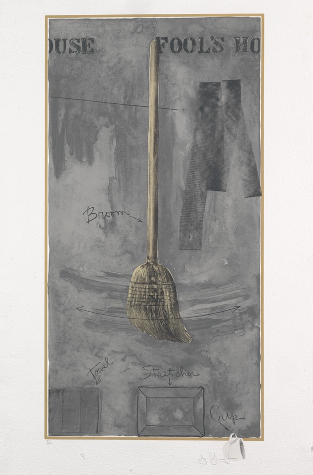 Fool's House by Jasper Johns