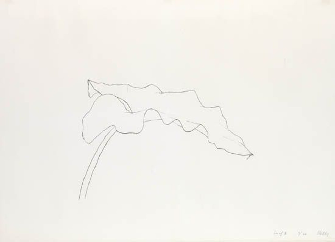 Leaf II by Ellsworth Kelly