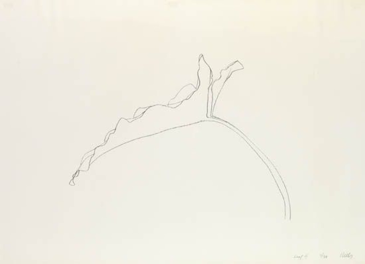Leaf XI by Ellsworth Kelly