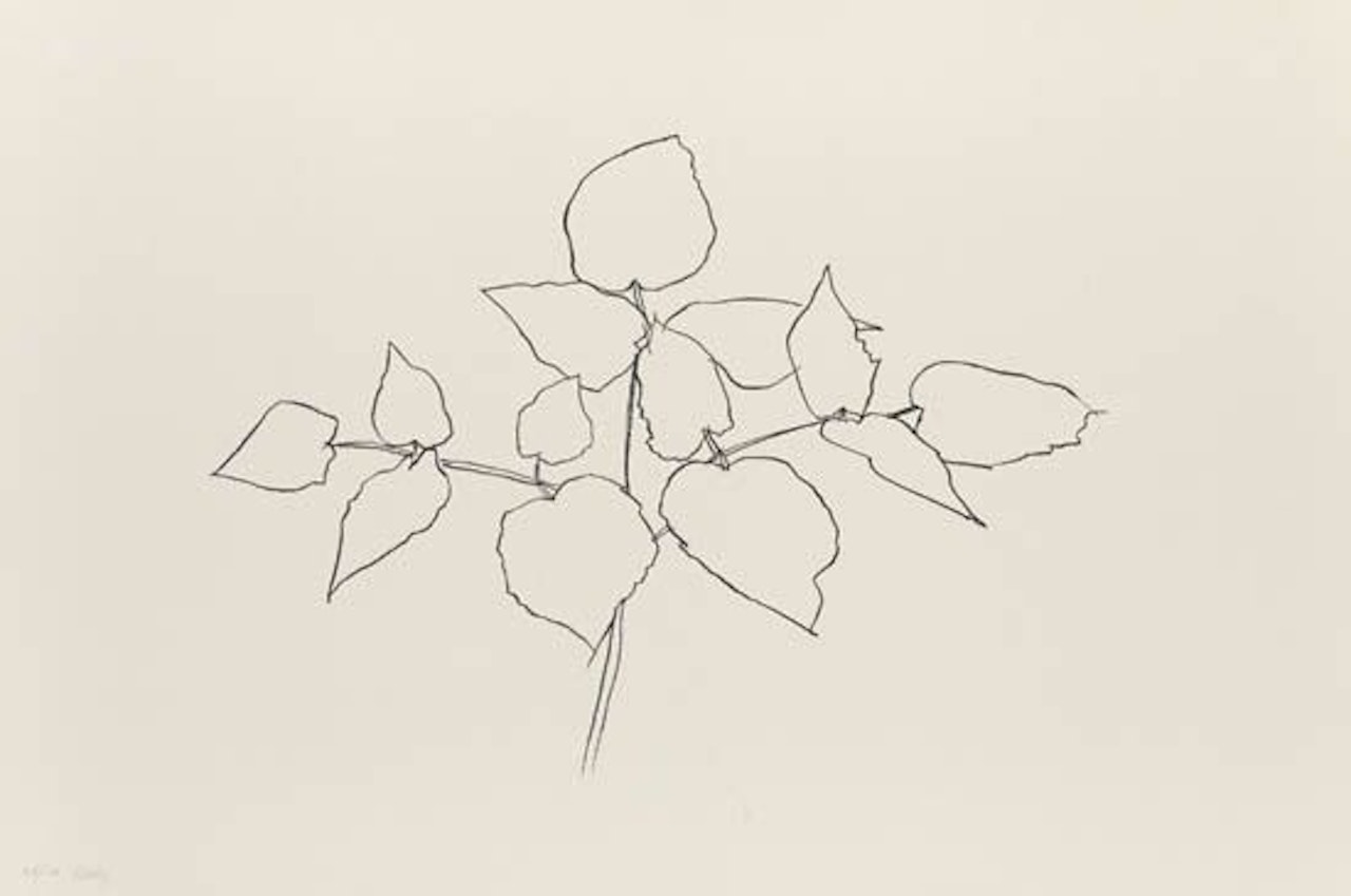 Woodland Plant by Ellsworth Kelly