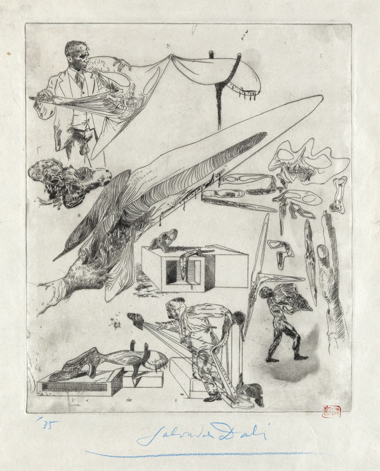 Crânes mous et harpe crânienne by Salvador Dali