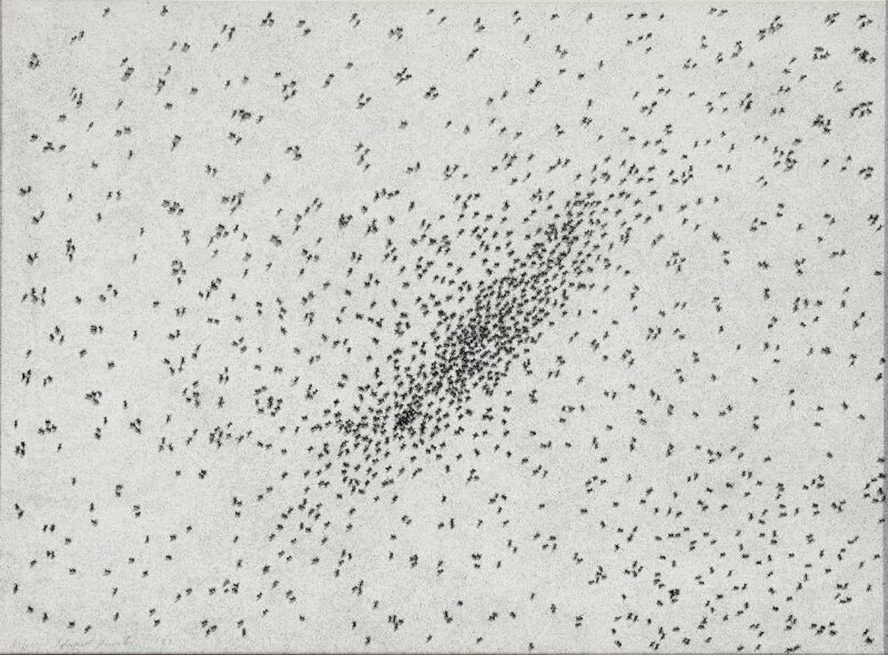 “Insect Slant” (Ants), fra “Reality and Paradoxes Portfolio” by Ed Ruscha