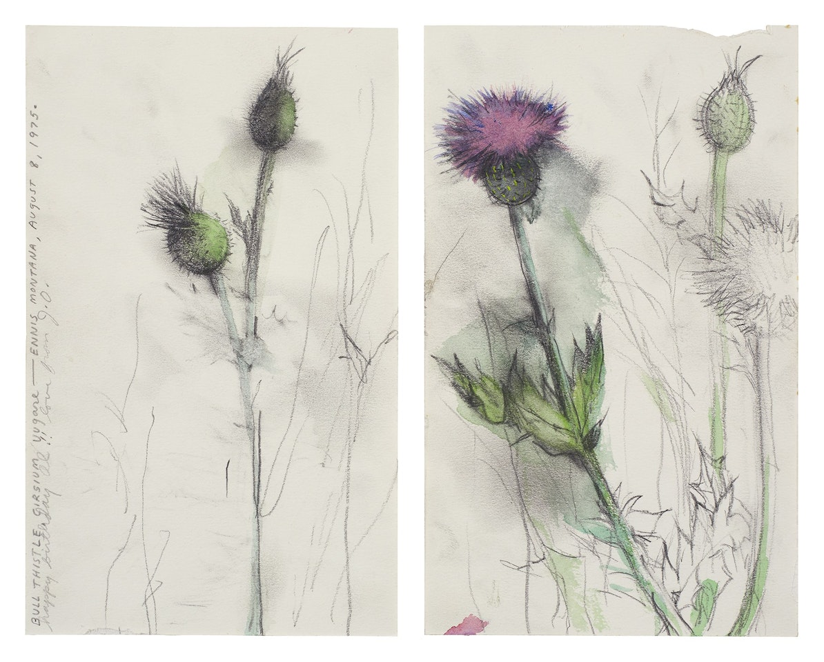 Thistles by Jim Dine