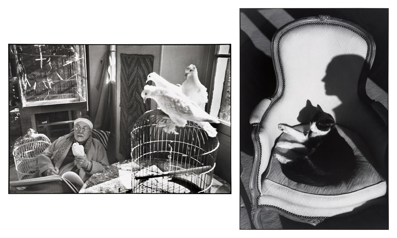 i. Henri Matisse, Vence, France and ii. Our Cat Ulysses and Martine"s Shadow (2 Photographs) by Henri Cartier-Bresson