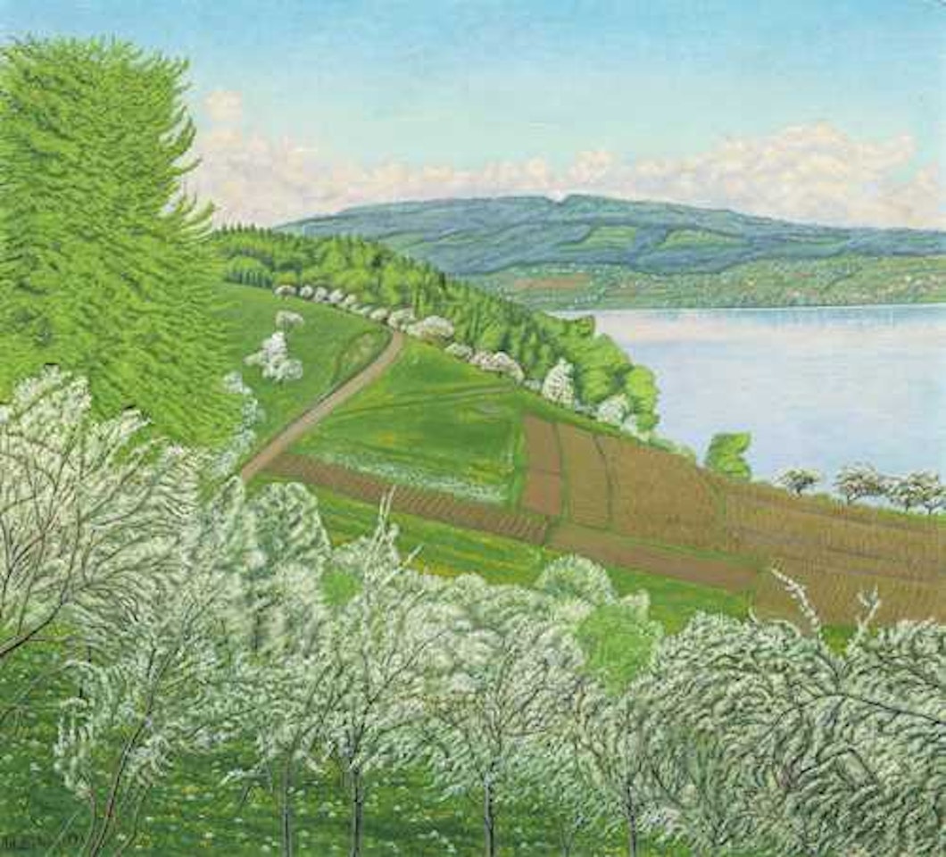 Spring in Lower Lake Constance by Adolf Dietrich