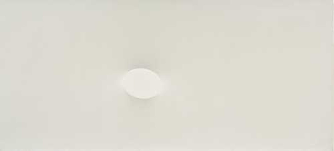 Un ovale bianco by Turi Simeti