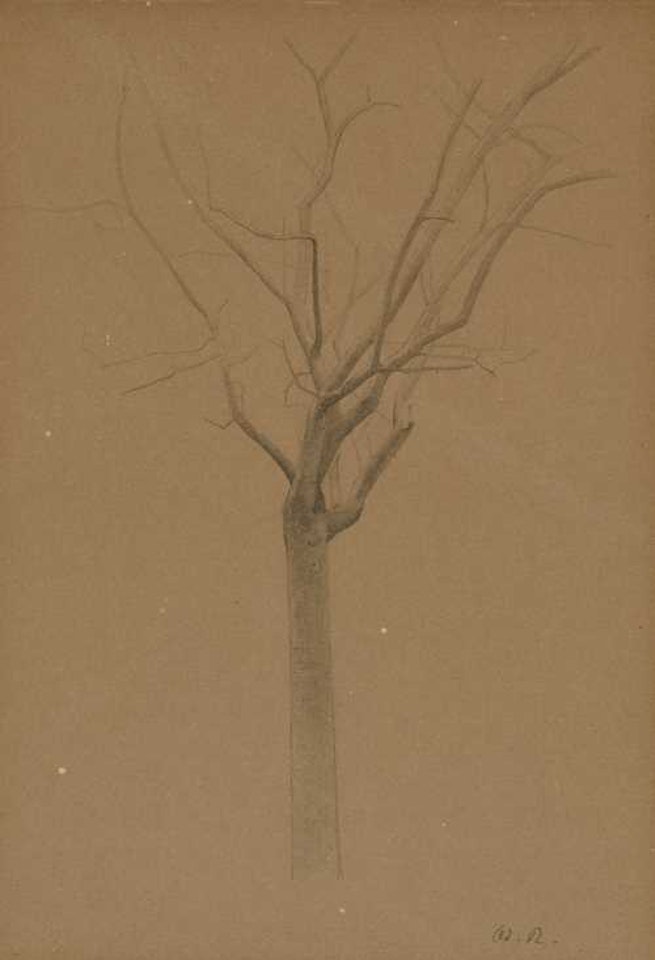 Étude d"arbre by Odilon Redon