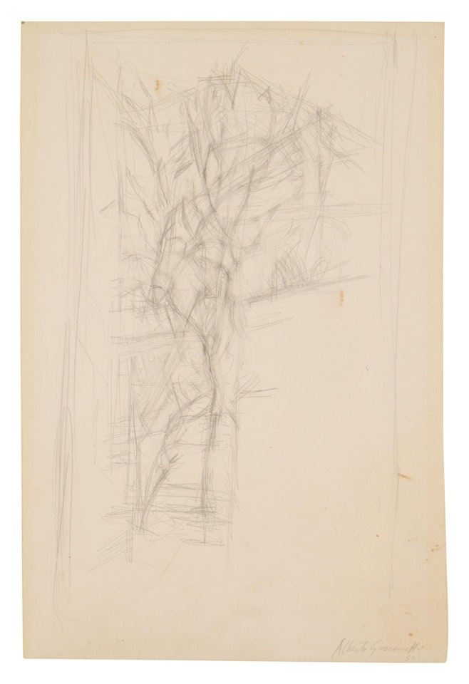 Arbres by Alberto Giacometti