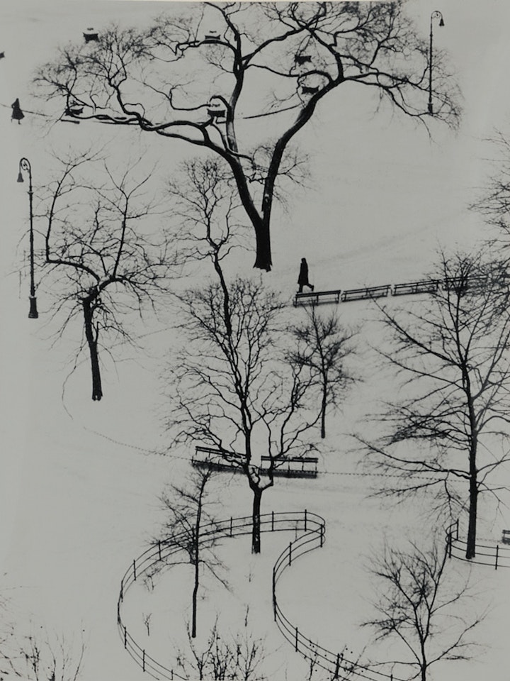 Washington Square by André Kertész