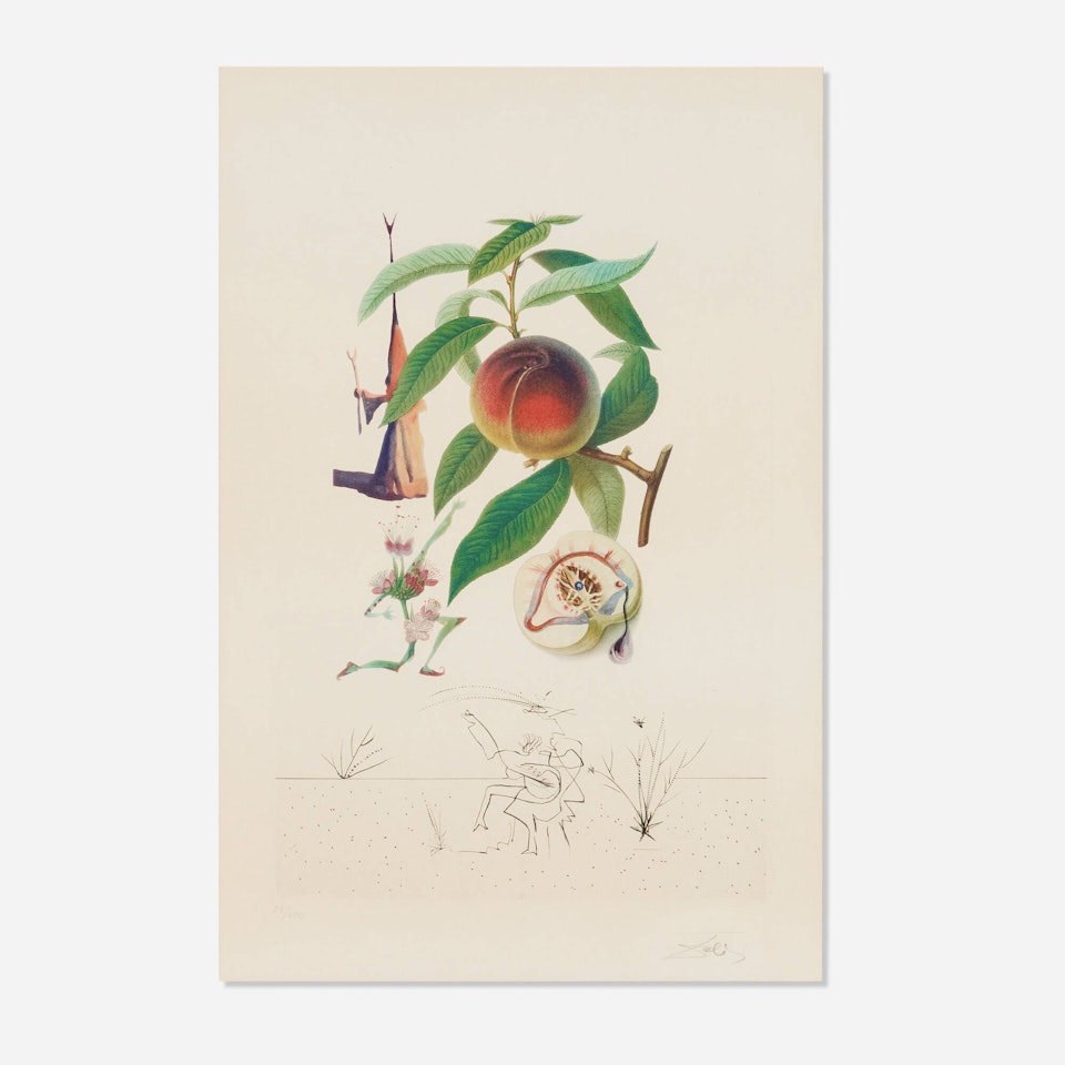 Pêcher pénitant (from the FlorDalí/Les fruits portfolio) by Salvador Dali