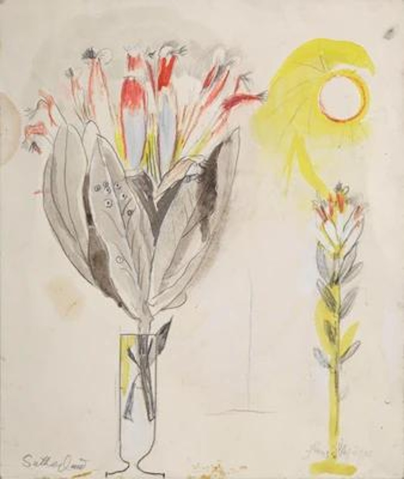 Fleurs d" Afrique by Graham Sutherland