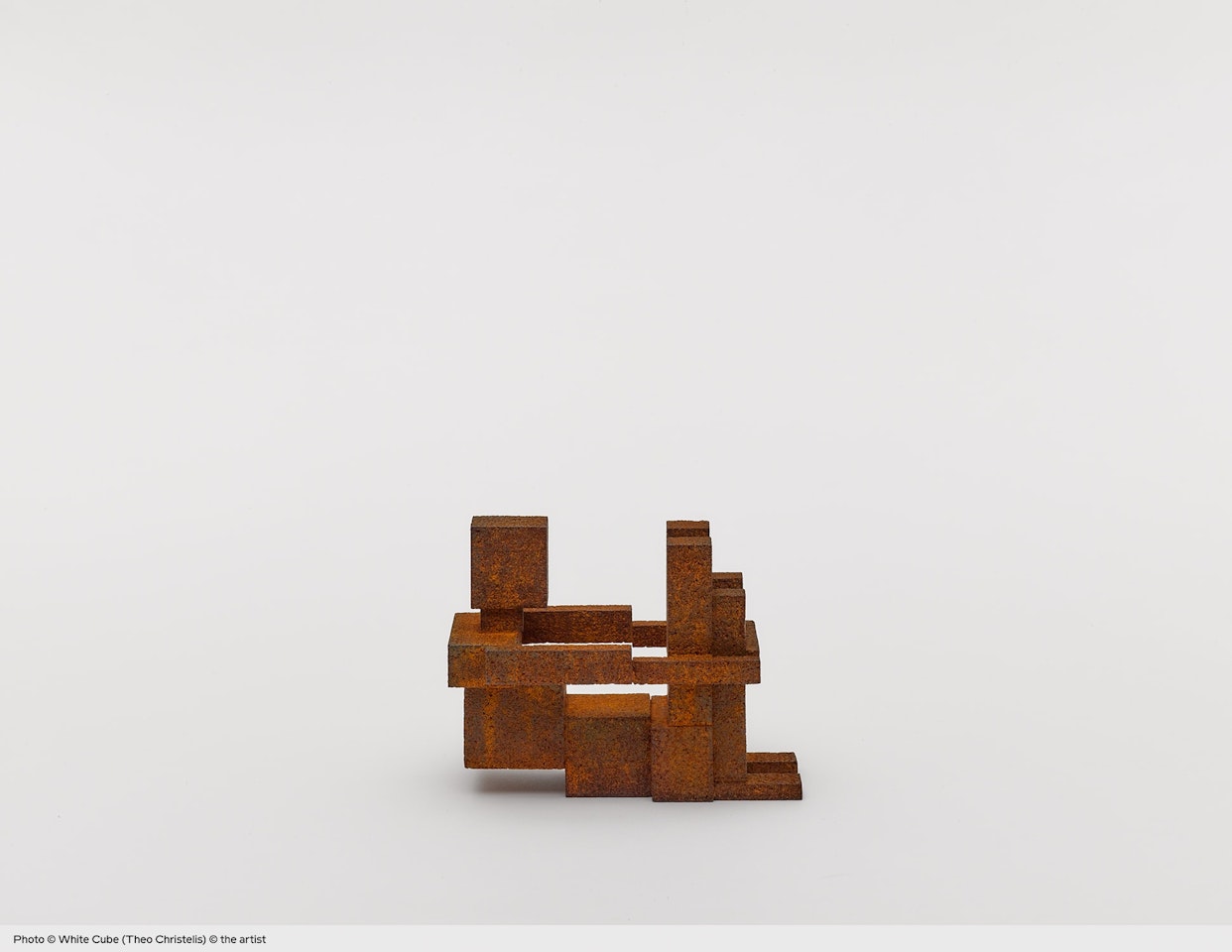BELT 1 (MEME) III by Antony Gormley