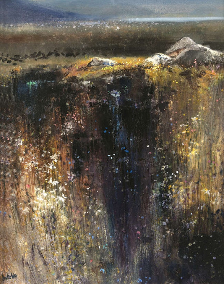 Bog Pool by Kenneth Webb