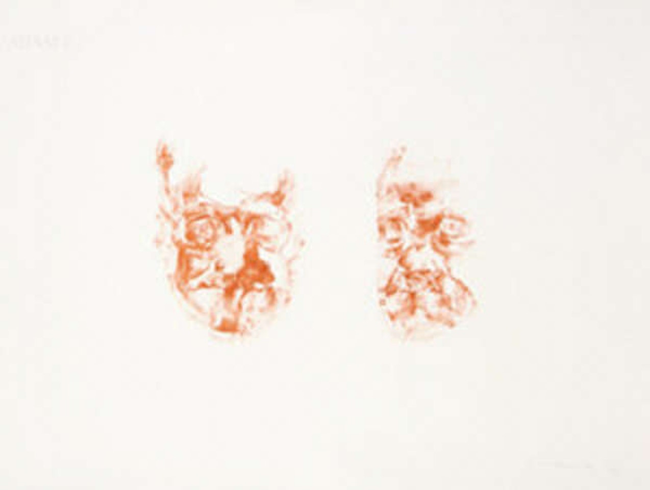 Two Heads of Joyce by Louis Le Brocquy
