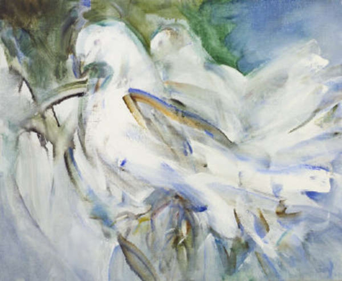 Fantail Pigeons by Louis Le Brocquy