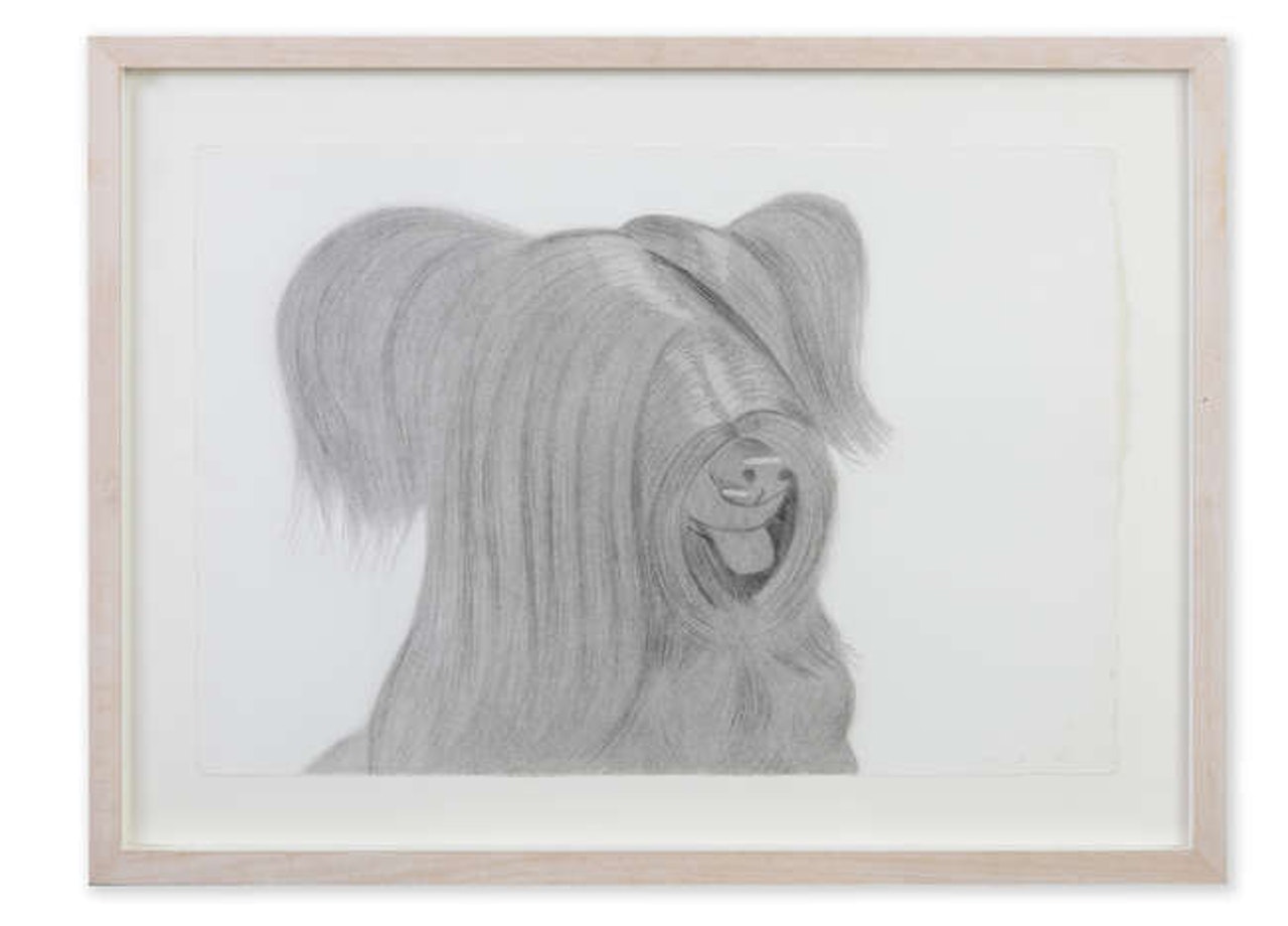 Sunny by Alex Katz