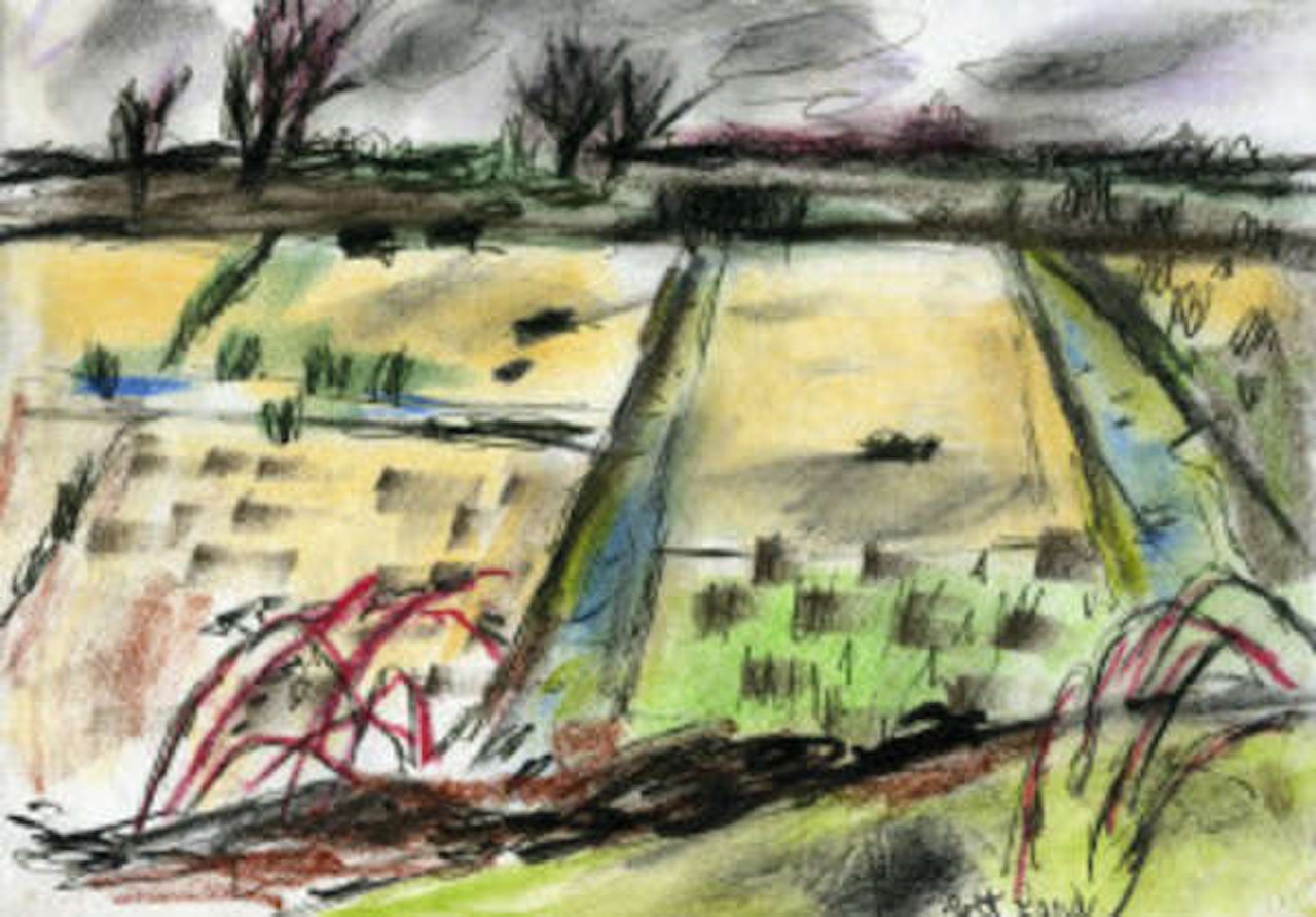 Wet land by Norah McGuinness