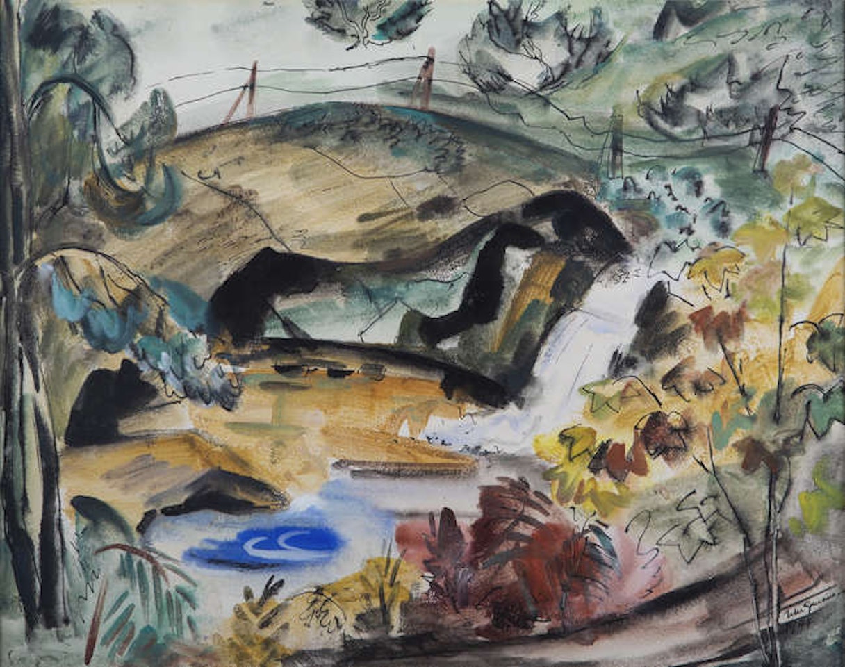 The Weir by Norah McGuinness