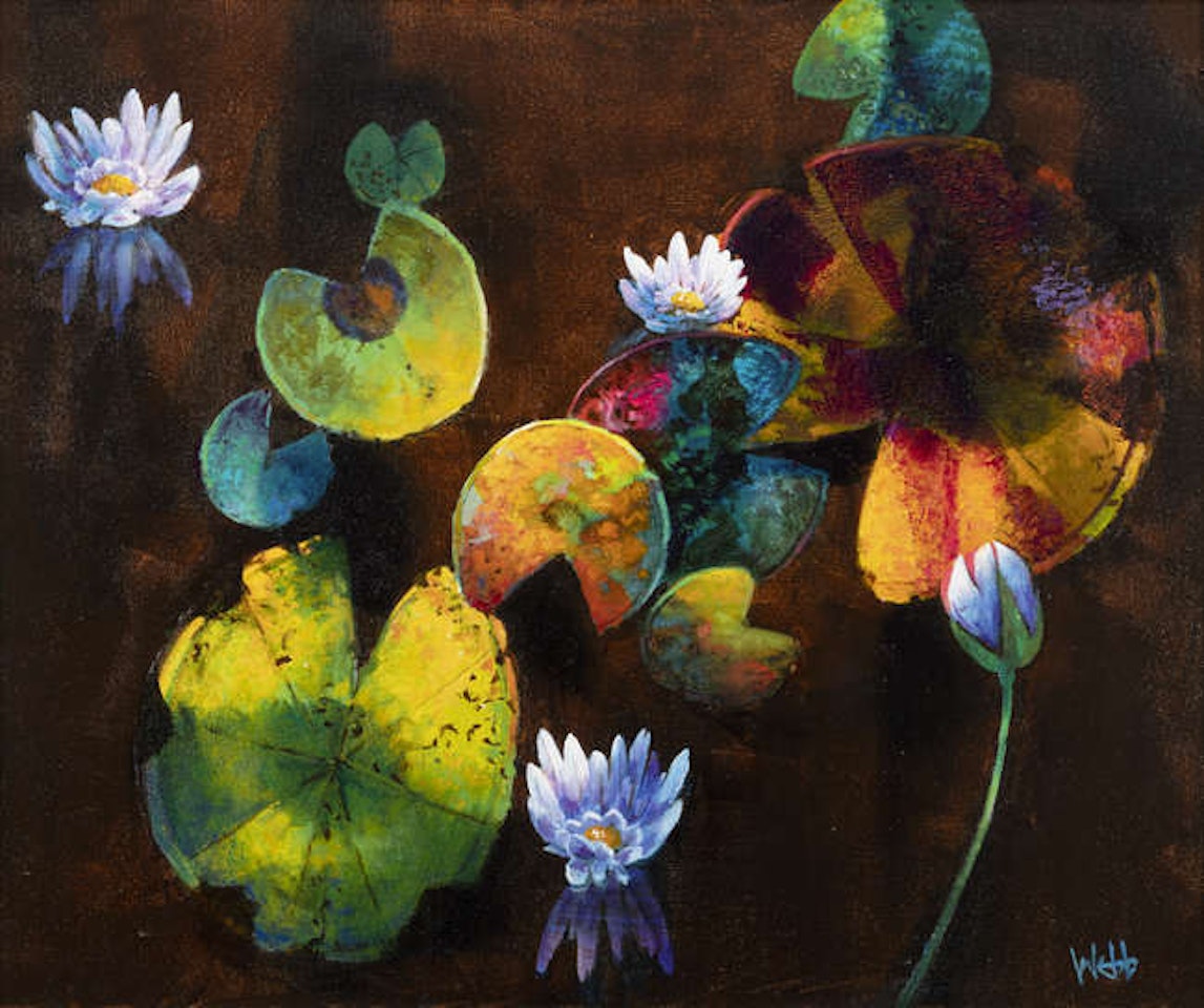 Water Lilies by Kenneth Webb