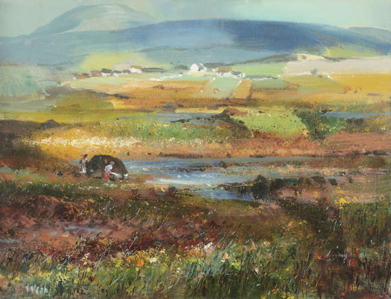 Blanket Bog, Connemara by Kenneth Webb