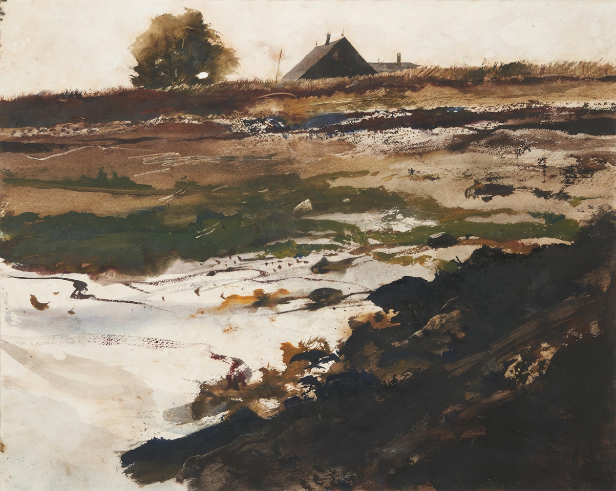 Teel"s Island Beach by Andrew Wyeth