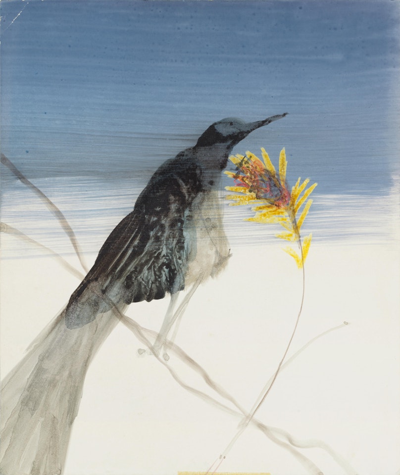 Untitled (Bird with Flower) by Sidney Nolan