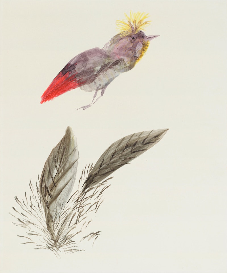 Untitled (Bird with Leaves) by Sidney Nolan