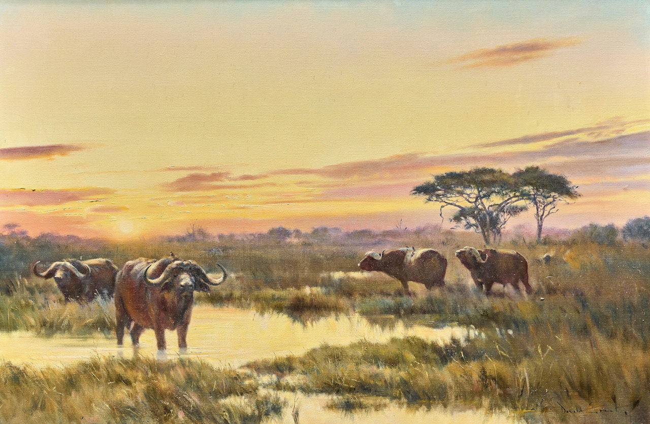 African Sunset by Donald Grant