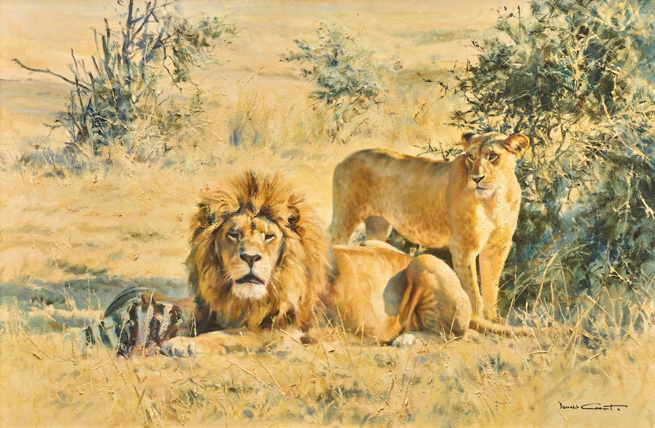 Lion and Lioness by Donald Grant