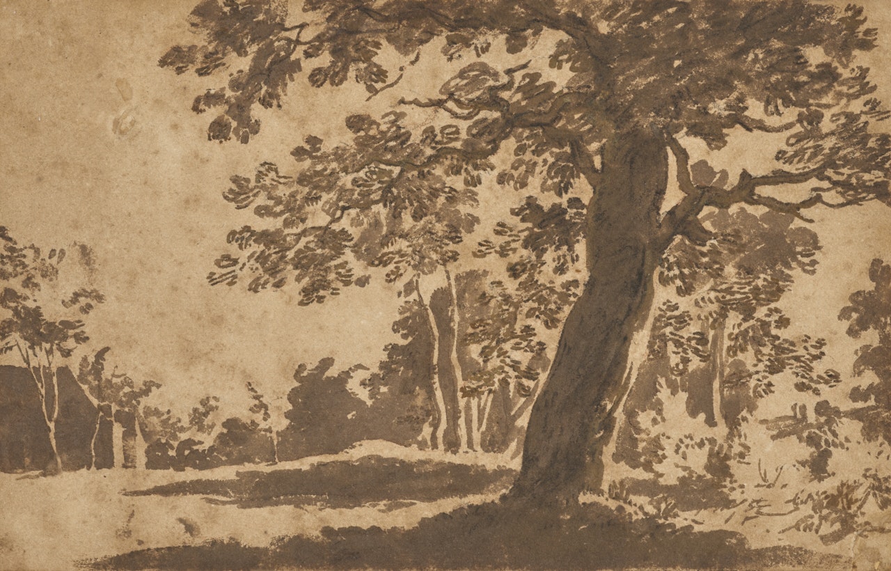 Vue du bois de la Haye by Jan de Bisschop