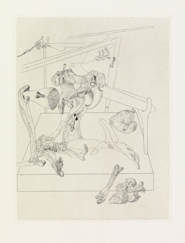 Les Chants de Maldoror by Salvador Dali