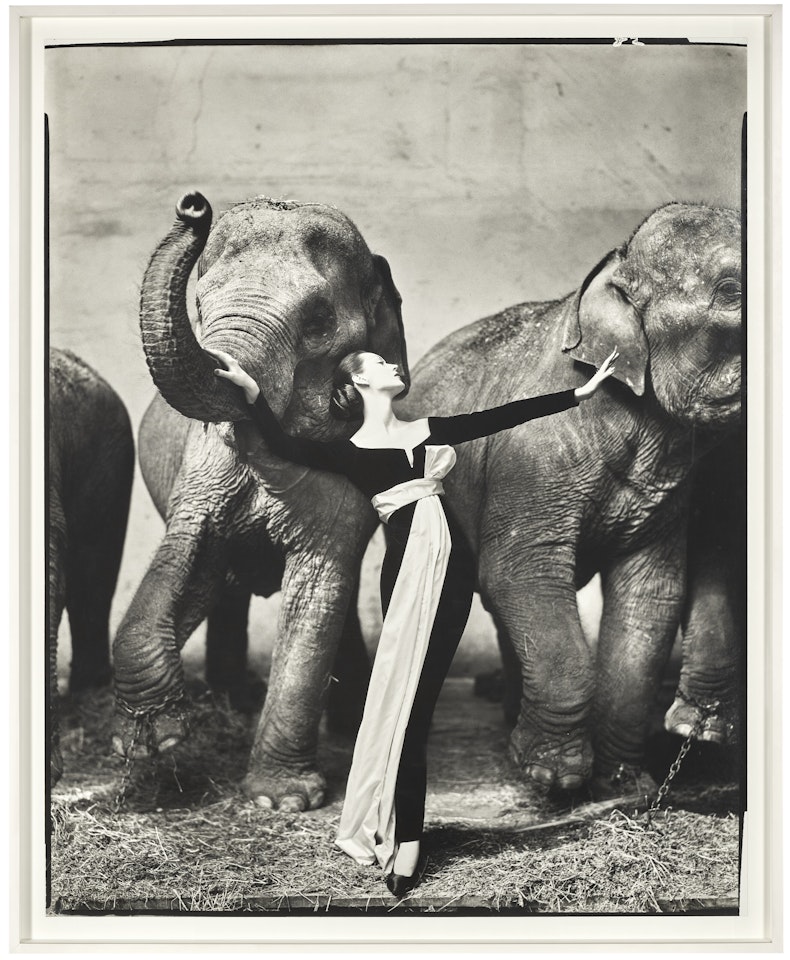 Dovima with Elephants, Evening dress by Dior, Cirque d"Hiver, Paris by Richard Avedon