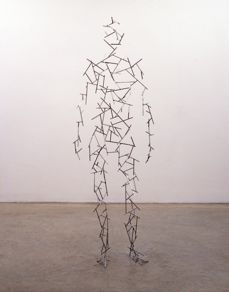 DOMAIN XLII by Antony Gormley