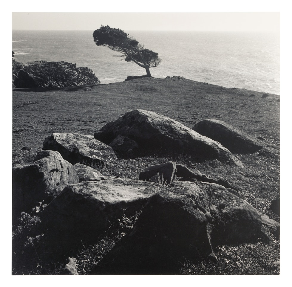 At Timber Cove, North Coast, California by Ansel Adams